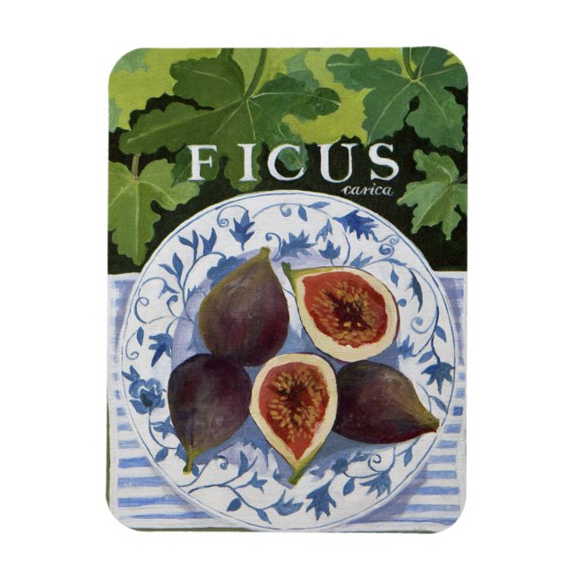 Fieus Magnet (Vertical)
