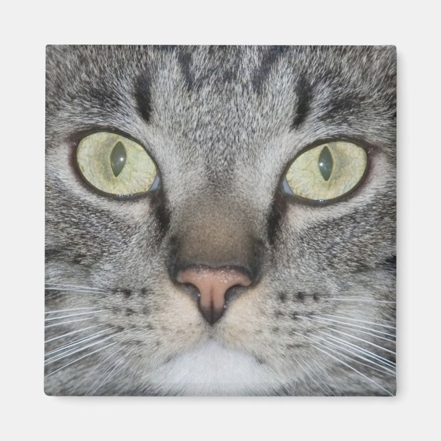 Fifel Magnet (Front)