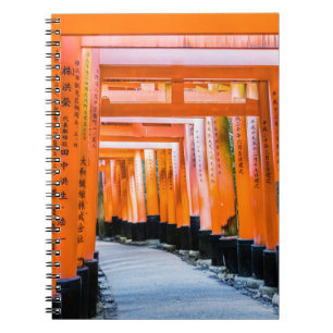 Fifty shades of orange - Senbon Torii, Kyoto Notebook