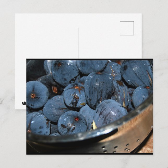 Fig Fruit in Colander Postcard (Front/Back)