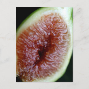Fig Inside Postcard