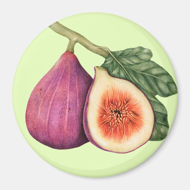 Fig Magnet (Front)