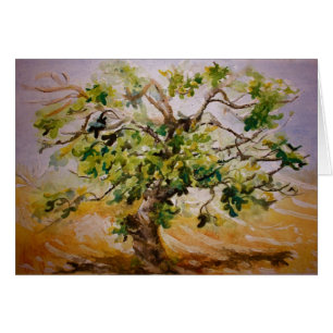 Fig Tree