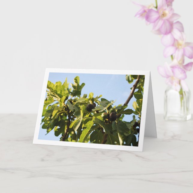 Fig Tree, Blue Sky Portrait Card (Orchid)