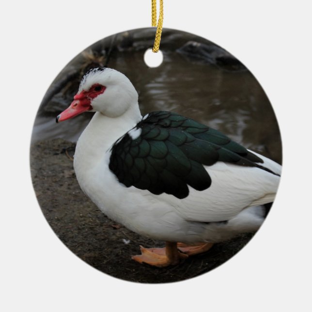 Figgy Ceramic Tree Decoration (Front)