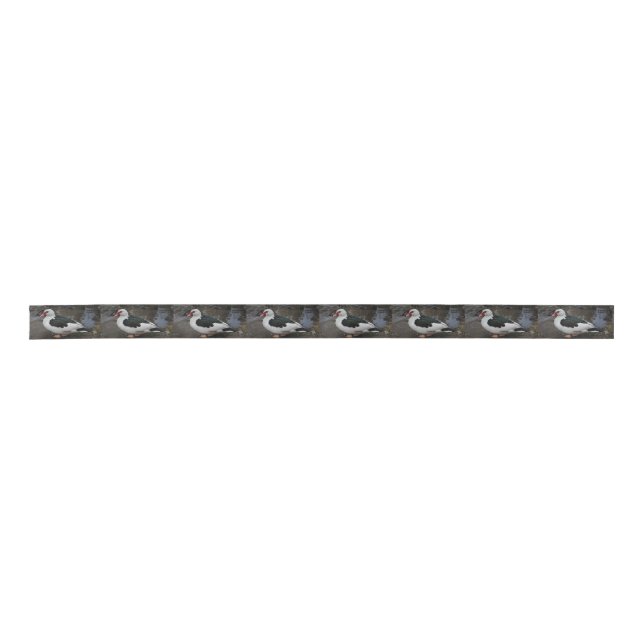 Figgy Satin Ribbon (Front)