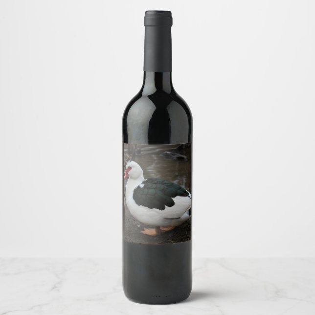 Figgy Wine Label (Front)
