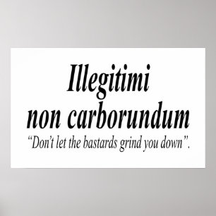 FIGHT BACK Illegitimi non carborundum is a mockLat Poster