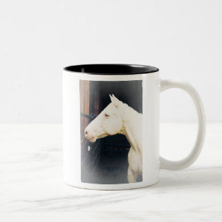 Fight Rocky Fight Mug