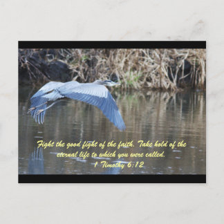 Fight the good fight of the faith. postcard