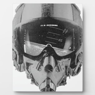 Fighter Pilot Helmet and Altimeter Plaque