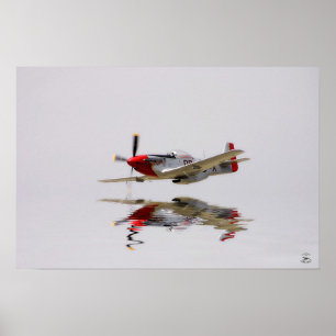 Fighter Poster