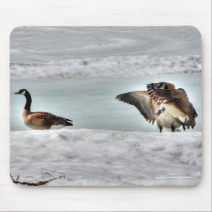 Fighting Canada Geese & Snow Wildlife Photo Mouse Pad