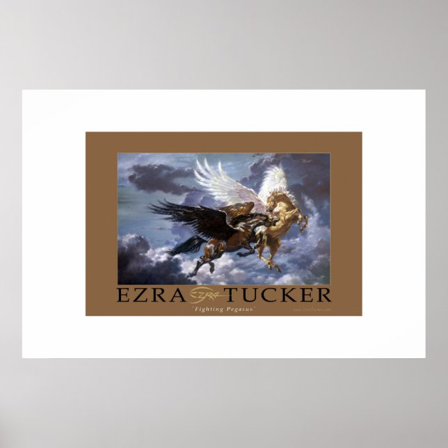 Fighting Pegasus Poster (Front)