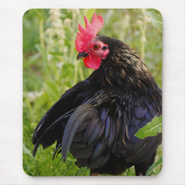 Fighting Rooster Mouse Pad (Front)