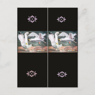 Fighting Seagulls Bookmark Postcard
