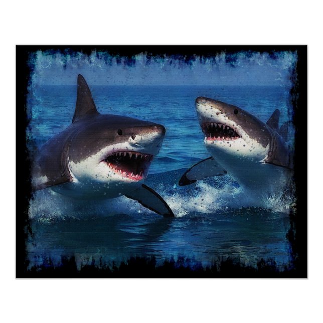 Fighting Sharks  Poster (Front)