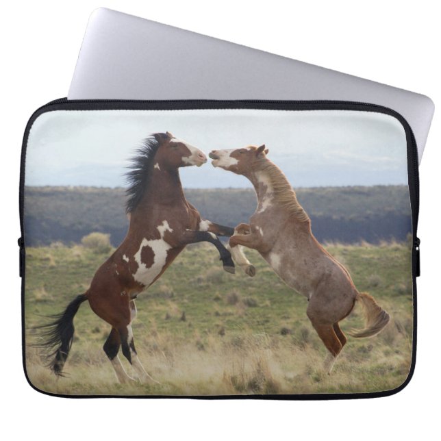 Fighting Stallions, Steens Mountains, Oregon Laptop Sleeve (Front)