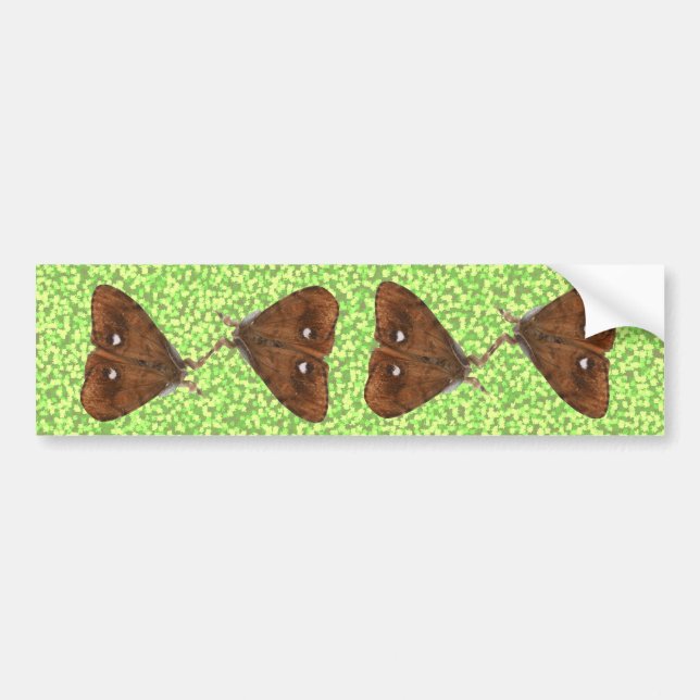 Fighting Vapourer Moths Bumper Sticker (Front)