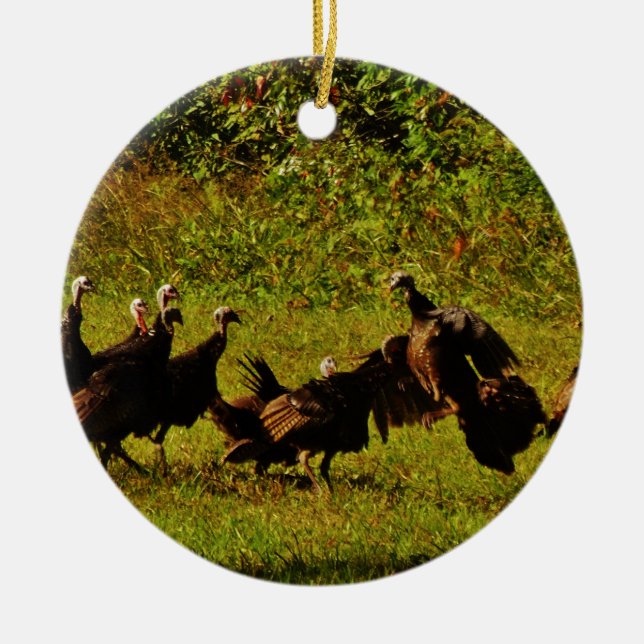 Fighting Wild Turkeys in The Smoky Mountains Ceramic Tree Decoration (Front)