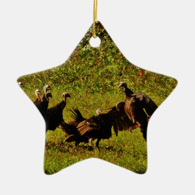 Fighting Wild Turkeys in The Smoky Mountains Ceramic Tree Decoration (Front)