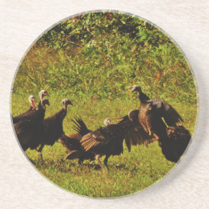 Fighting Wild Turkeys in The Smoky Mountains Coaster
