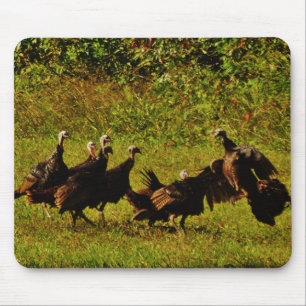 Fighting Wild Turkeys in The Smoky Mountains Mouse Pad
