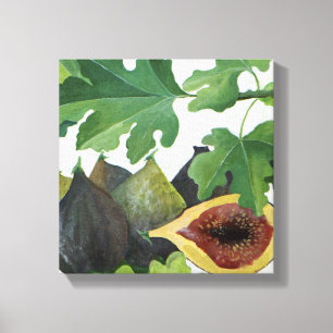 Figs 2013 canvas print