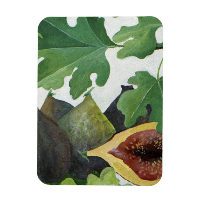 Figs 2013 magnet (Vertical)