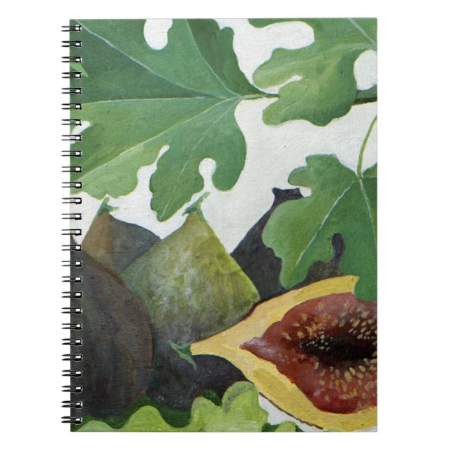Figs 2013 spiral notebook (Front)