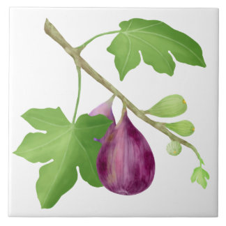 Figs on a branch tile