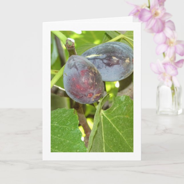 Figs on Tree Portrait Card (Orchid)