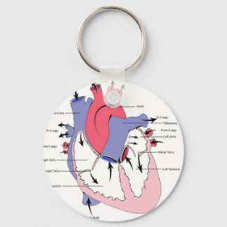 Figure 2. Normal Heart Function.jpg Key Ring