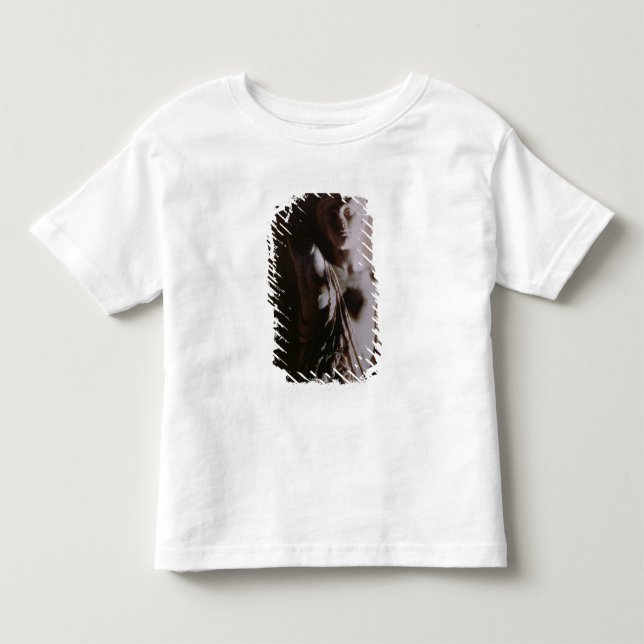 Figure of an Amazon Toddler T-Shirt (Front)