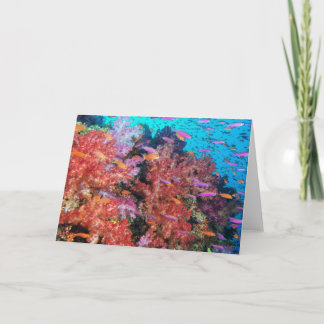 Fiji Colour Splash Card