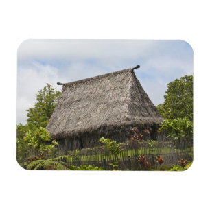 Fiji, Viti Levu Island. Polynesian Cultural Magnet