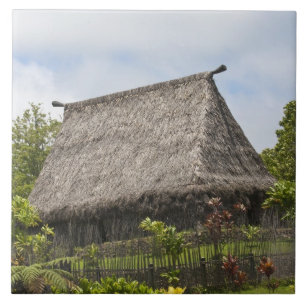 Fiji, Viti Levu Island. Polynesian Cultural Tile