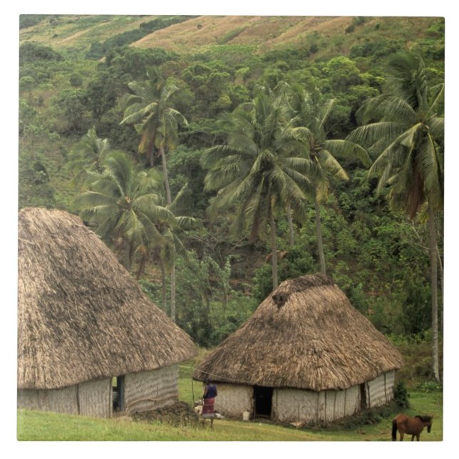 Fiji, Viti Levu, Navala, Traditional Bure houses Tile (Front)