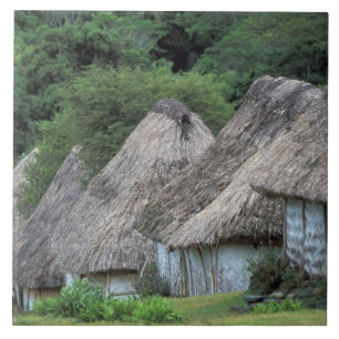 Fiji, Viti, Traditional hut houses. Tile