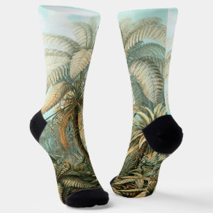 Filicinae by Ernst Haeckel, Vintage Fern Plants Socks
