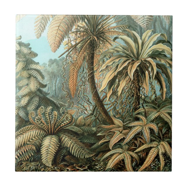 Filicinae by Ernst Haeckel, Vintage Fern Plants Tile (Front)