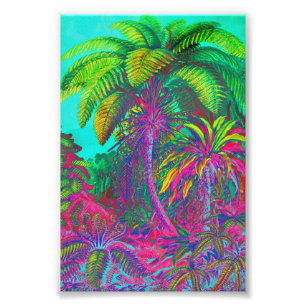 Filicinae Trees and Ferns Photo Print