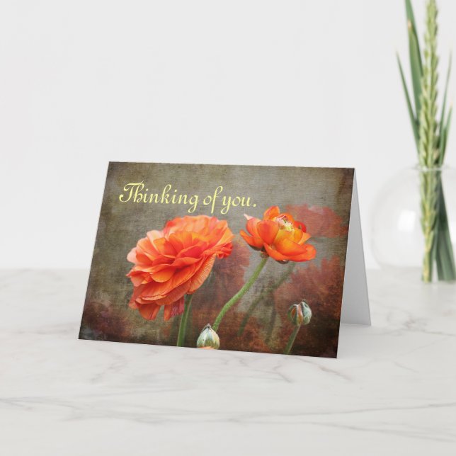 Filled Poppies from Bud to Full Bloom Card (Front)