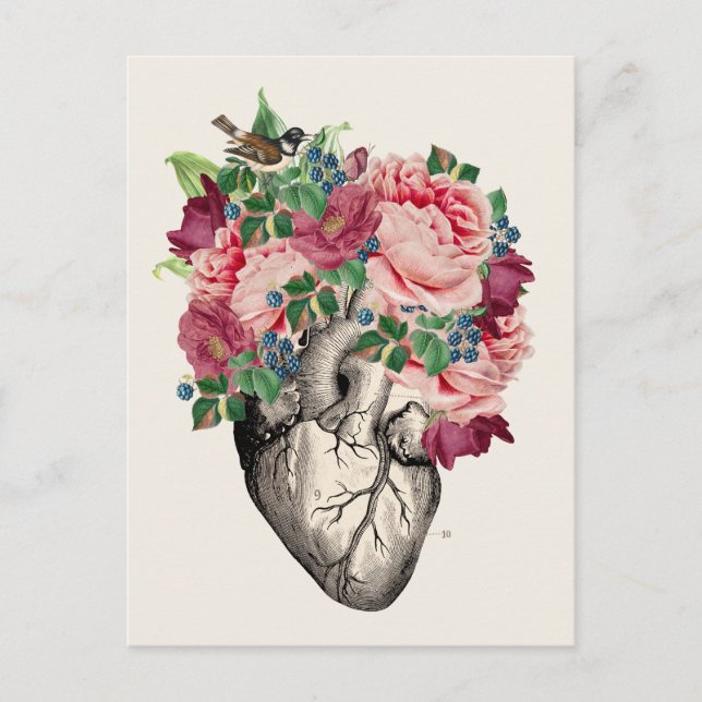 Filled to Overflowing Anatomical Heart Postcard (Front)