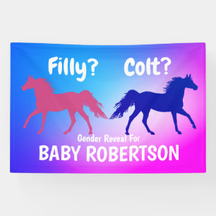 Filly Or Colt Western Style Banner