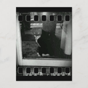 Film Strip Lucy Postcard