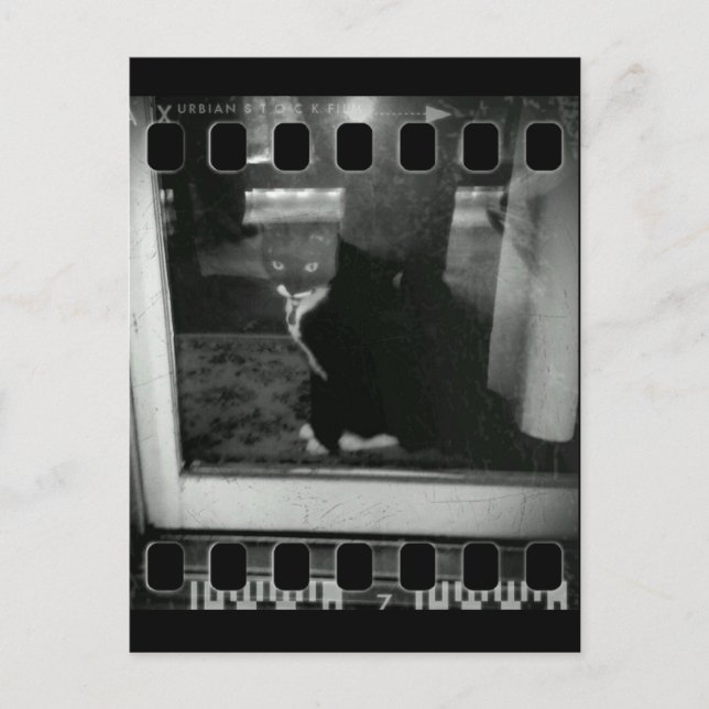 Film Strip Lucy Postcard (Front)