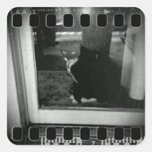 Film Strip Lucy Square Sticker