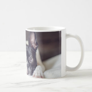 Fina the Boston Terrier Coffee Mug