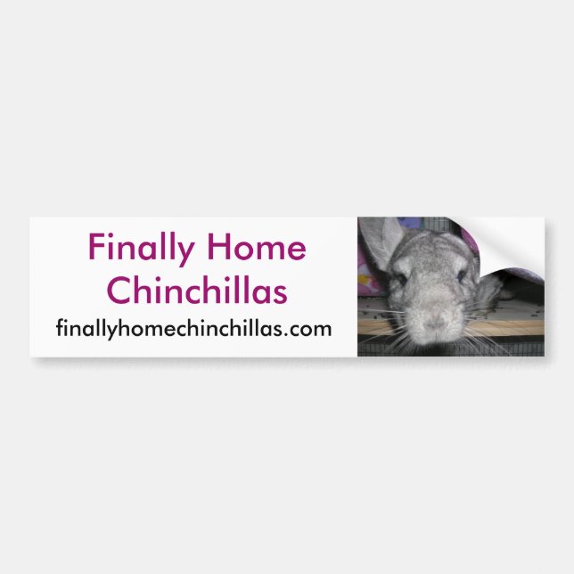 Finally Home Chinchillas Bumper Sticker, Esther Bumper Sticker (Front)